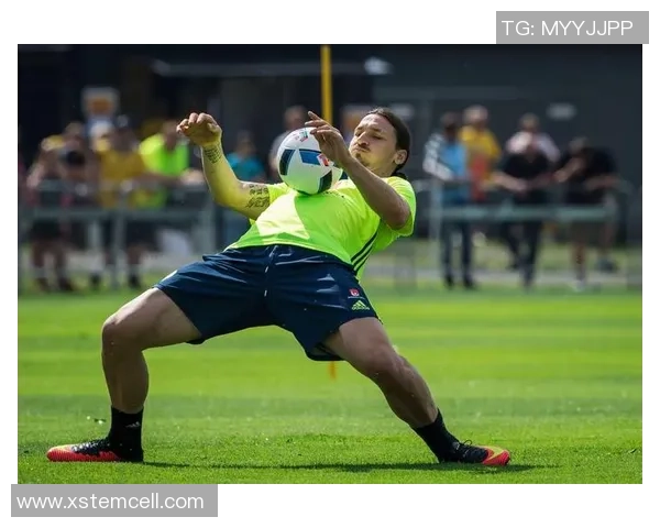 花式足球领域最强球星盘点与技巧分析，谁能称霸这一独特足球艺术之巅