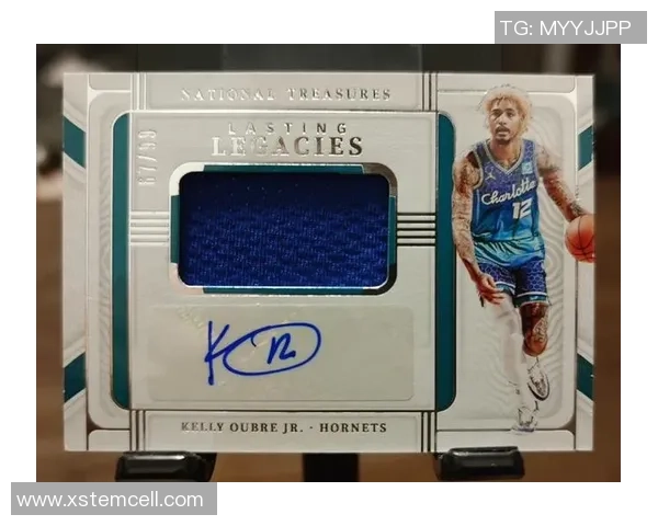 足球球星卡收藏的魅力与投资价值深度剖析与市场趋势展望